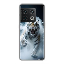 Чохол з картинкою 'Хижаки' для OnePlus 10 Pro (Тигр)
