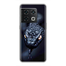 Чохол з картинкою 'Хижаки' для OnePlus 10 Pro (Змія)