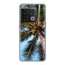 Силиконовый чехол с КАРТИНКАМИ лето для OnePlus 10 Pro (AlphaPrint) (Пальма)