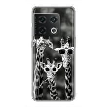 Силиконовый чехол с КАРТИНКАМИ лето для OnePlus 10 Pro (AlphaPrint) (Жирафы в очках)
