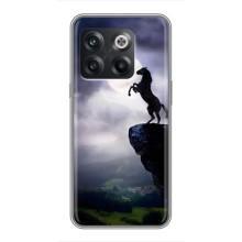 Чехлы с изображением разных животных для OnePlus 10T (Лошадь)