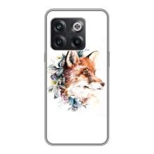 Чохли з картинкою Лисичка для OnePlus 10T (VPrint) (Лиса в квітах)