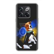 Чехлы с картинкой собаки Патрон для OnePlus 10T (AlphaPrint) (Патрон собачка)
