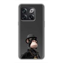 Чехлы с Обезьянами NFT для OnePlus 10T (AlphaPrint) (Обезьяна NFT)