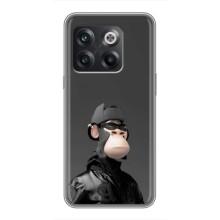 Чехлы с Обезьянами NFT для OnePlus 10T (AlphaPrint) (стильная обезьяна NFT)