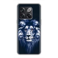 Чехол со Львом для OnePlus 10T (VPrint) (Синий Лев)