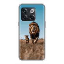 Чохол Король лев на OnePlus 10T . украинськими . буквами і цифрами: ОнеПлюс 10Т – Мусафа і Сімба