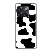 Чохол з принтом корови на OnePlus 10T . украинськими . буквами і цифрами: ОнеПлюс 10Т – Чорний принт