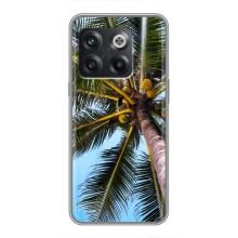 Силиконовый чехол с КАРТИНКАМИ лето для OnePlus 10T (AlphaPrint) – Пальма