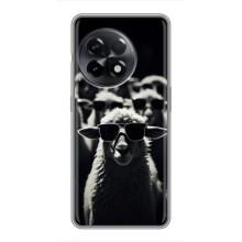 Чехол с принтом стильные животные для ОнеПлас 11 Про – Овечка в очках