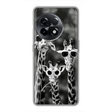 Силиконовый чехол с КАРТИНКАМИ лето для OnePlus 11 Pro (AlphaPrint) – Жирафы в очках