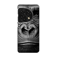 Чохли з Горилою на ВанПлас 11 – Чорна мавпа
