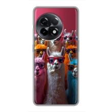 Чохол з принтом стильні тварини для ВанПлас 11 – Лами в окулярах