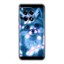 Чехлы с картинкой Лисички для OnePlus 12 Pro (VPrint) (Яркая лисичка)