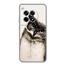 Чехол с птицами на OnePlus 12 Pro (VPrint) (Сова)