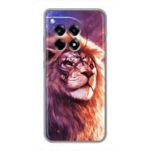 Чехол со Львом для OnePlus 12 Pro (VPrint) (Красочный Лев)