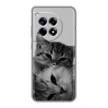 Чехол с рисунком кот на OnePlus 12 Pro – Пара котов