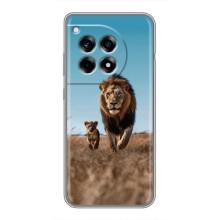 Чехол Король лев на ВанПлас 12 Про (Мусафа и Симба)