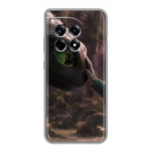 Чохол як приборкати дракона на OnePlus 12 Pro – Сцена з драконом