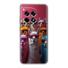 Чехол с принтом стильные животные для ВанПлас 12 Про – Ламы в очках