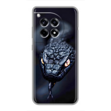 Чехол с картинкой «Хищники» для OnePlus 12 Pro – Змея