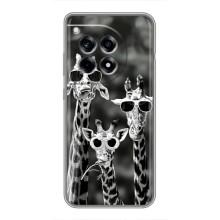 Силиконовый чехол с КАРТИНКАМИ лето для OnePlus 12 Pro (AlphaPrint) – Жирафы в очках