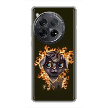 Чехлы на военную тематику для OnePlus 12 (Бавовна мем)