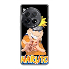 Чехлы с принтом Наруто на OnePlus 12 (Naruto)