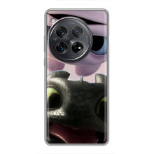 Чехол дракон Беззубик для OnePlus 12