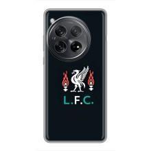 Чохли для ВанПлас 12 (VPrint) - ТОП ФК (ФК Ліверпуль)