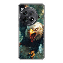 Чехол с картинкой «Хищники» для OnePlus 12 (Орёл)