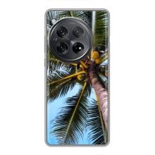 Силиконовый чехол с КАРТИНКАМИ лето для OnePlus 12 (AlphaPrint) (Пальма)