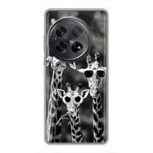 Силиконовый чехол с КАРТИНКАМИ лето для OnePlus 12 (AlphaPrint) (Жирафы в очках)