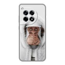 Чехлы с Обезьянами NFT для OnePlus 12R (AlphaPrint) (обезьяна NFT в тату)