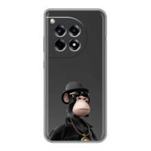 Чехлы с Обезьянами NFT для OnePlus 12R (AlphaPrint) (Обезьяна NFT)