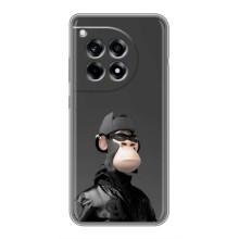 Чехлы с Обезьянами NFT для OnePlus 12R (AlphaPrint) (стильная обезьяна NFT)