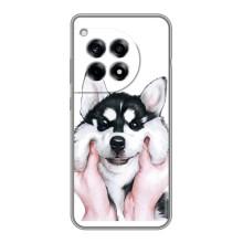 Чехлы с собаками для OnePlus 12R (VPrint) (Довольный Хаски)