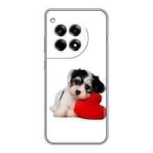 Чехлы с собаками для OnePlus 12R (VPrint) (Песик)