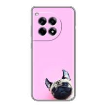 Чехлы с собаками для OnePlus 12R (VPrint) (Смешная собака)