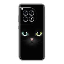 Чохол на тематику: Коти для OnePlus 12R (Чорний Котик)