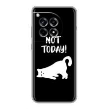 Бампер з зображенням Котиків для Ванплас 12р (Not Today)