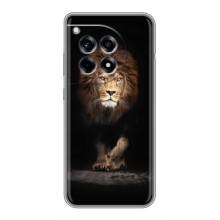 Чохол з картинкою на OnePlus 12R (Гарний Лев)