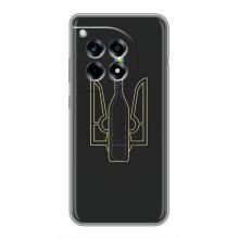 Чохол з картинкою (Патріотичний ГЕРБ) на OnePlus 12R (Герб - Молотова)