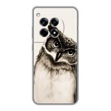 Чехол с птицами на OnePlus 12R (VPrint) (Сова)