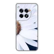 Чохол з ромашками на OnePlus 12R (Пів ромашки)