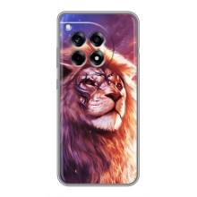 Чехол со Львом для OnePlus 12R (VPrint) (Красочный Лев)