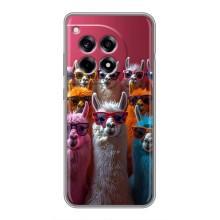 Чехол с принтом стильные животные для ВанПлас 12р – Ламы в очках