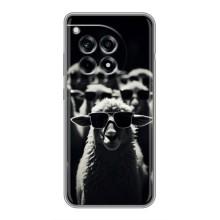 Чехол с принтом стильные животные для ВанПлас 12р – Овечка в очках