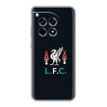 Чехлы для ВанПлас 12р (VPrint) - ТОП ФК (ФК Ливерпуль)
