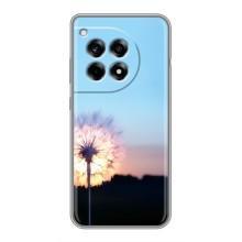 Силіконовий Чохол з кульбабками на OnePlus 12R (Захід з кульбабкою)